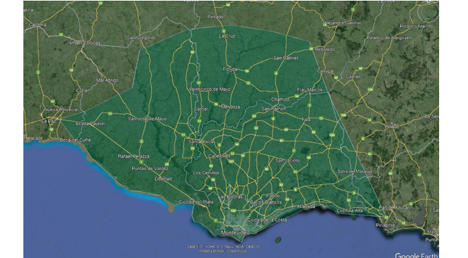 Gobierno pide prevenir al «Picudo Rojo» que ya llegó a Maldonado