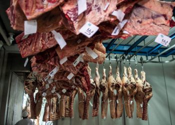 Misión “sanitaria y religiosa” de Indonesia llegará a Uruguay a inspeccionar frigoríficos