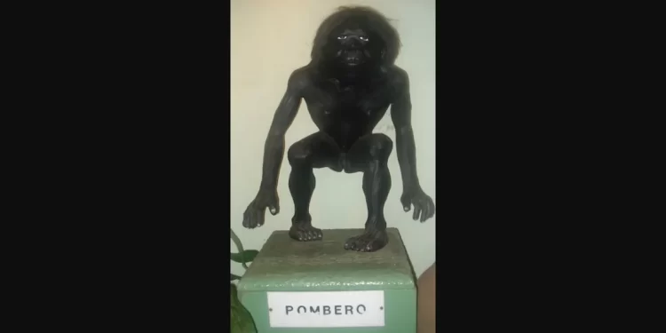 Desaparición de Loan: qué es el Pomberito, la figura mítica que nombró la abuela