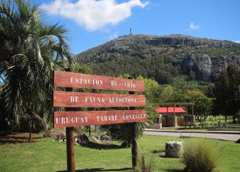 ECFA celebra el Día Mundial del Medio Ambiente con la iniciativa “Junio Verde”