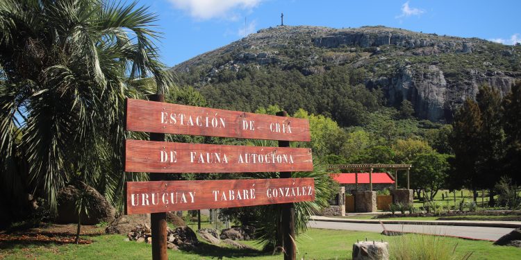 ECFA celebra el Día Mundial del Medio Ambiente con la iniciativa “Junio Verde”