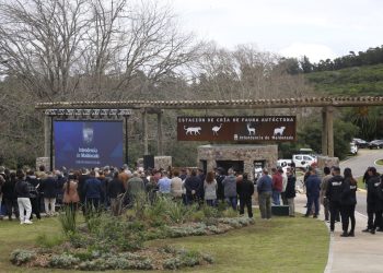 IDM anunció la inminente creación de un teleférico en la renovación de la ECFA