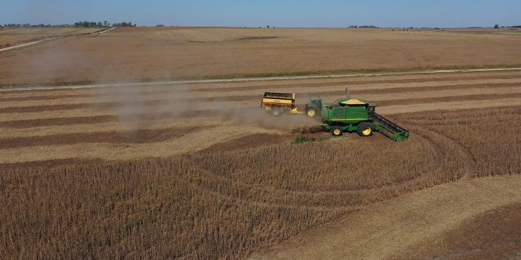 Montevideo, Colonia y Canelones siguen en el podio de los departamentos más exportadores de Uruguay