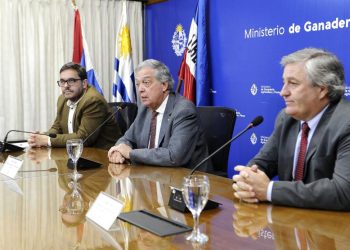 Uruguay logró apertura de mercado cárnico de Malasia tras 14 años sin comercializar