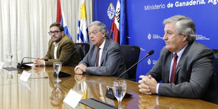 Uruguay logró apertura de mercado cárnico de Malasia tras 14 años sin comercializar