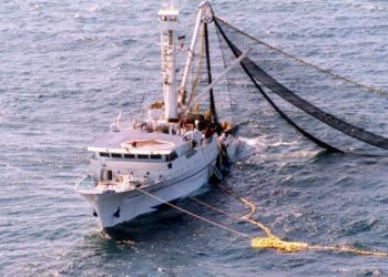 Trabajadores de la pesca logran acuerdos con cuatro empresas y 250 empleados salen al mar