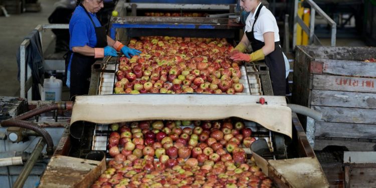 Desempleo: 8,5 % en mayo, informa INE