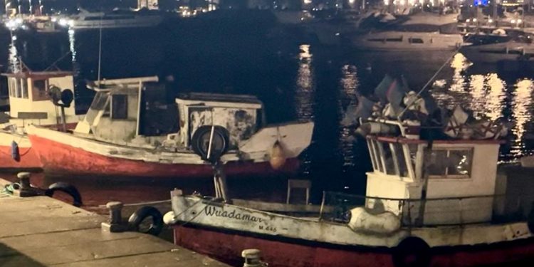 Zafra de pescados en Punta del Este atrae jornaleros de todo el país