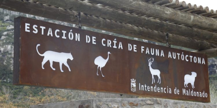 ECFA alcanzó un nuevo récord de visitantes durante las vacaciones de invierno