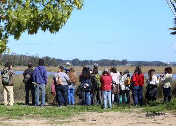 Maldonado contará con jornadas gratuitas de observación de aves en varias zonas del departamento