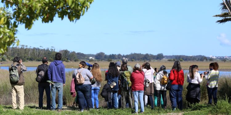 Maldonado contará con jornadas gratuitas de observación de aves en varias zonas del departamento