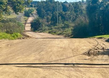 Hombre intentó matar a su pareja y se quitó la vida