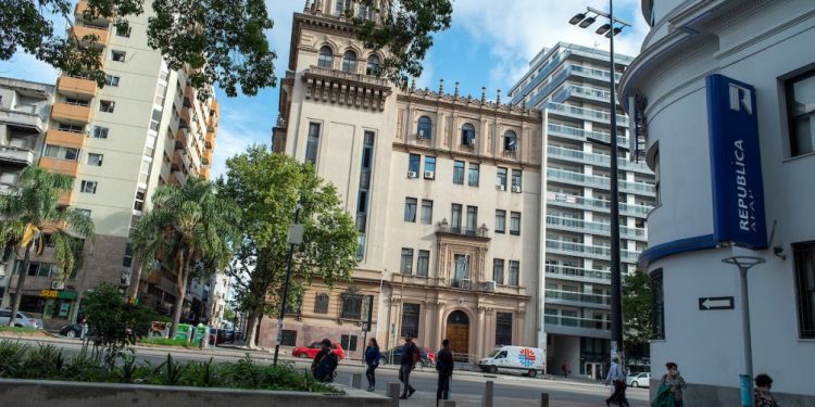 Analizan posible caso de rabia en Bella Unión