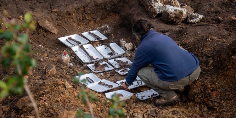 Restos hallados en Batallón 14 serían de un hombre de entre 43 y 57 años