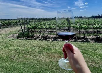 Experiencia Wine and Art en la reserva forestal Arboretum Lussich