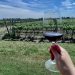 Experiencia Wine and Art en la reserva forestal Arboretum Lussich