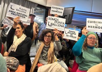 Grupos que defienden Punta Ballena aseguran que el proyecto edilicio incumple con la Ley de Ordenamiento Territorial