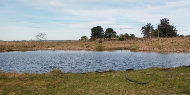 Hallaron el cuerpo del niño que desapareció en un tajamar en cercanías de la Ruta Perimetral