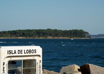 Artola salió con los tapones de punta tras el ingreso de la Isla de Lobos en el SNAP: “parece que no son uruguayos”