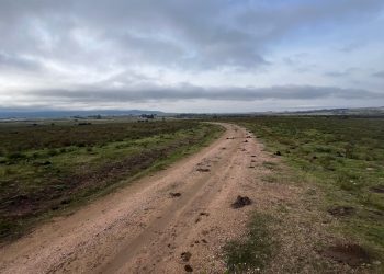 Hirió a otro sujeto y se descubrió que guardaba armas en una vivienda ubicada en Ruta 39