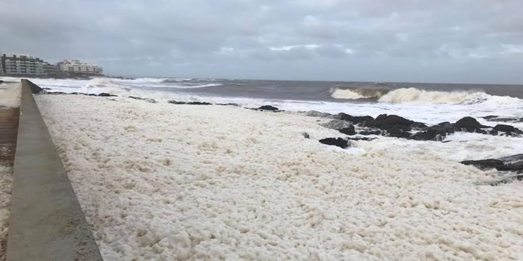 CECOED en alerta ante posible llegada del temporal de Santa Rosa