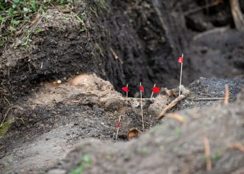 Este lunes se retoman excavaciones detrás del Batallón 13