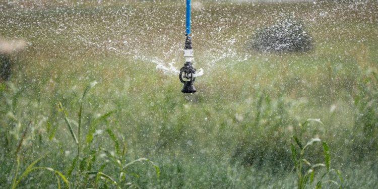 Situación hídrica es mejor de lo que se esperaba, dijo jerarca del MGAP