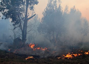 Humo proveniente de los incendios forestales de la región ya llegó a Uruguay advierte el MSP