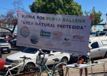 Organizaciones Sociales de Punta Ballena esperan con expectativa el fallo del Ministerio de Ambiente sobre proyecto inmobiliario