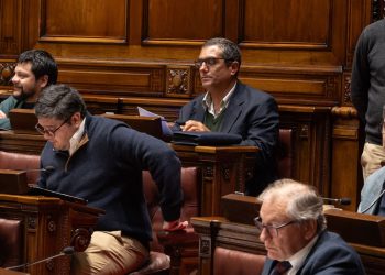 Fernando Borges asumió como diputado