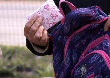 Canasta de higiene menstrual fue aprobada en Diputados y será tratada en el Senado