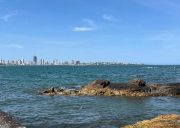 Isla Gorriti: un entorno natural inigualable a pocos kilómetros de Punta del Este
