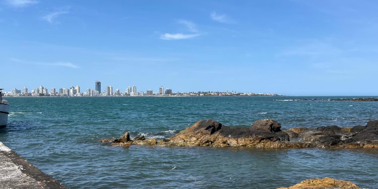 Isla Gorriti: un entorno natural inigualable a pocos kilómetros de Punta del Este