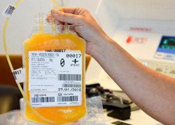 Hemocentro y MSP firmaron acuerdo que mejora el convenio entre Uruguay y Argentina para el intercambio de plasma
