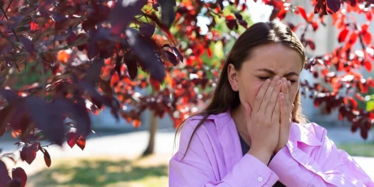 Temporada de polen: cuáles son las alergias más comunes y cómo prevenirlas