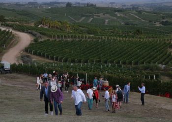 Bodegas de Maldonado celebran el Día del Patrimonio con una agenda especial