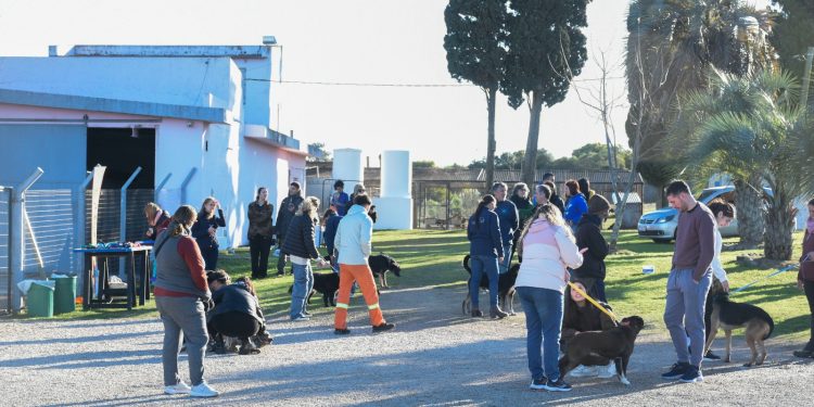 Nueva jornada de adopciones en el Refugio Municipal de Maldonado
