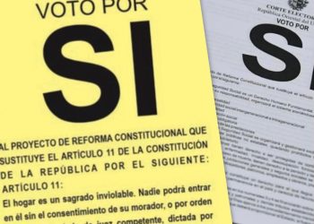 Plebiscitos en Uruguay no obtuvieron la adhesión necesaria para su aprobación