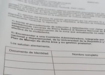 Movimiento contra el proyecto en Punta Ballena recolectó más de 11 mil firmas
