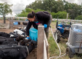 Se celebra el Día Internacional de la Mujer Rural