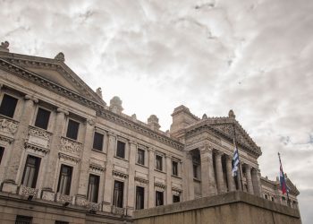 Vamos a la tanda; Parlamento con comunicadores que se estrenan como legisladores