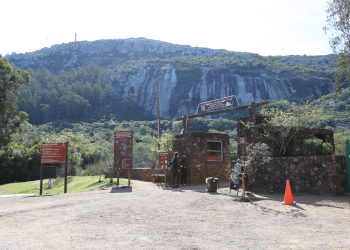 Se suman más trampas para recapturar al puma que escapó de la ECFA