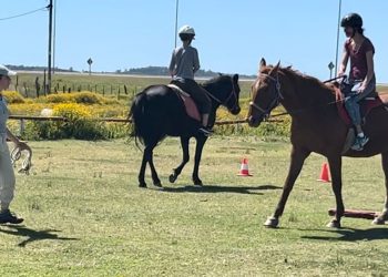 Equinoterapia Maldonado: desarrollo de equilibrio y autocontrol