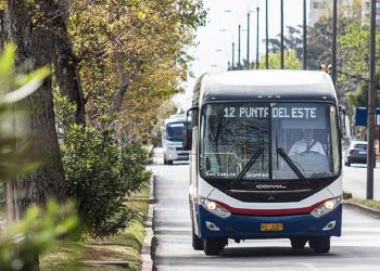 Ómnibus modificarán sus recorridos desde el 2 de diciembre ante inicio de la temporada estival