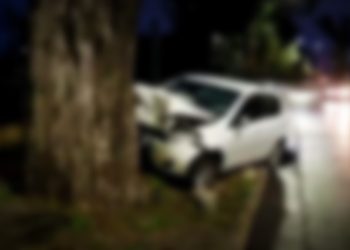 Un hombre que circulaba a contramano murió tras impactar su vehículo contra un árbol