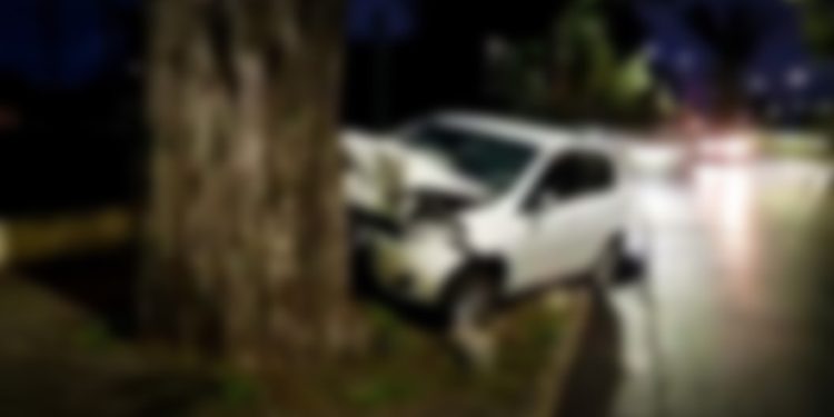 Un hombre que circulaba a contramano murió tras impactar su vehículo contra un árbol
