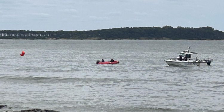 Operativo remolque de ballena para enterrarla