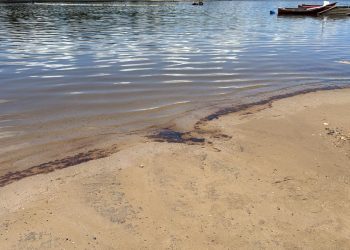 Preocupación por los cangrejales y la calidad del agua tras derrame de petróleo en el Arroyo Solís