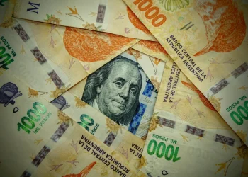 El peso argentino es la moneda que más se apreció en el mundo en 2024