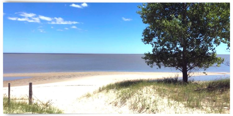 Ministerio de Ambiente aprueba la Autorización Ambiental Previa al Proyecto Arazatí